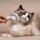 McLovin’s Dual Retractable Slicker Brush for Dogs & Cats - Pet Combs & Brushes 2