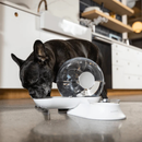 McLovin’s Gravity 2-in-1 Water Dispenser with Food Bowl for Dogs & Cats - Water Fountains 7