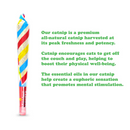 Meowijuana Birthjays Party-Size Catnip Joints with Organic Catnip - Catnip Toys 3