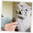 Meowijuana Lollies Silvervine Sticks with Catnip for Cats (3 ct)