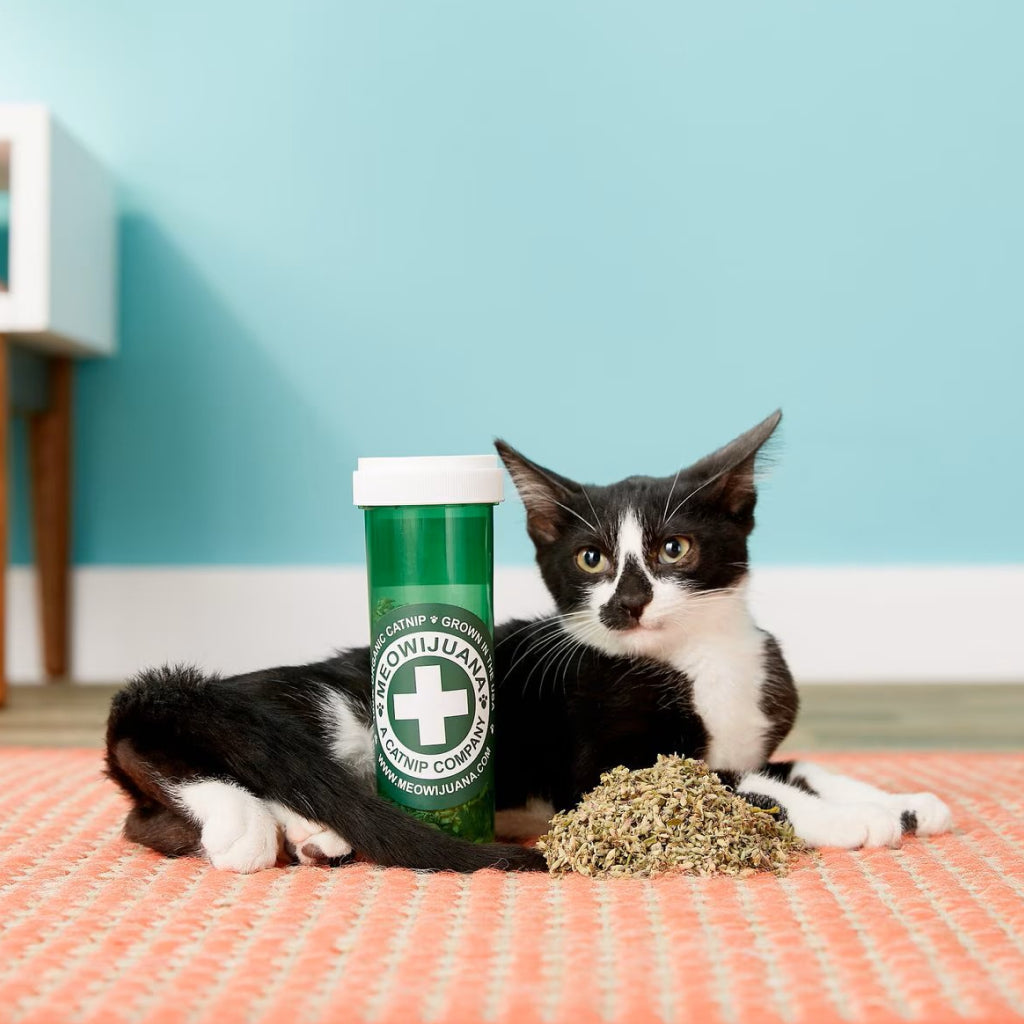 Meowijuana Meowi-Waui Catnip – Premium Organic Cat Treat