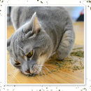 Meowijuana Purrple Passion Catnip & Silvervine Blend Catnip (0.917 oz) - Catnip 4
