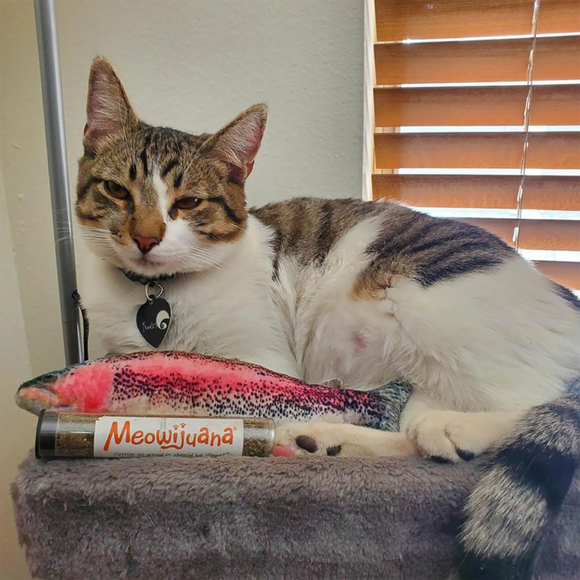 Meowijuana Refillable Get Smoked Fish Cat Toy with Refillable Catnip - Cat Toys 9