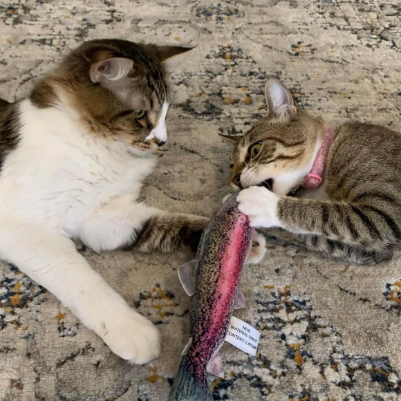 Meowijuana Refillable Get Smoked Fish Cat Toy with Refillable Catnip - Cat Toys 11