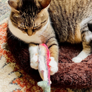 Meowijuana Refillable Get Smoked Fish Cat Toy with Refillable Catnip - Cat Toys 13
