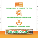 Meowijuana Refillable Get Stuffed Stocking Catnip Toy - Catnip Toys 4