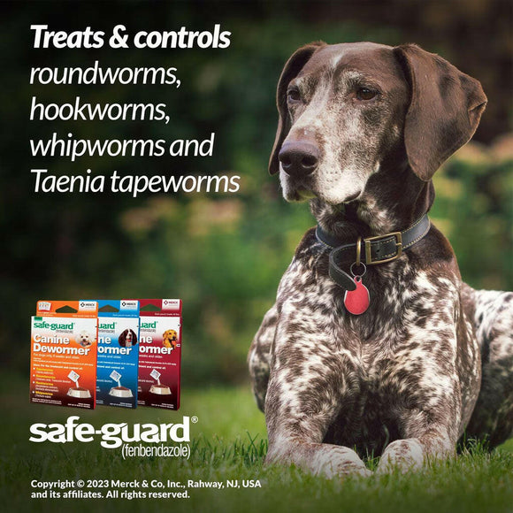 Merck Safe-Guard Canine Dewormer for Dogs 6 weeks and older (2g x 3 sachets) - Dog Health Care & Wellness 6