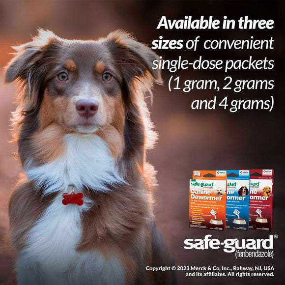Merck Safe-Guard Canine Dewormer for Dogs 6 weeks and older (2g x 3 sachets) - Dog Health Care & Wellness 4