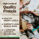 Merrick Grain Free Chicken and Sweet Potato Senior Dry Dog Food