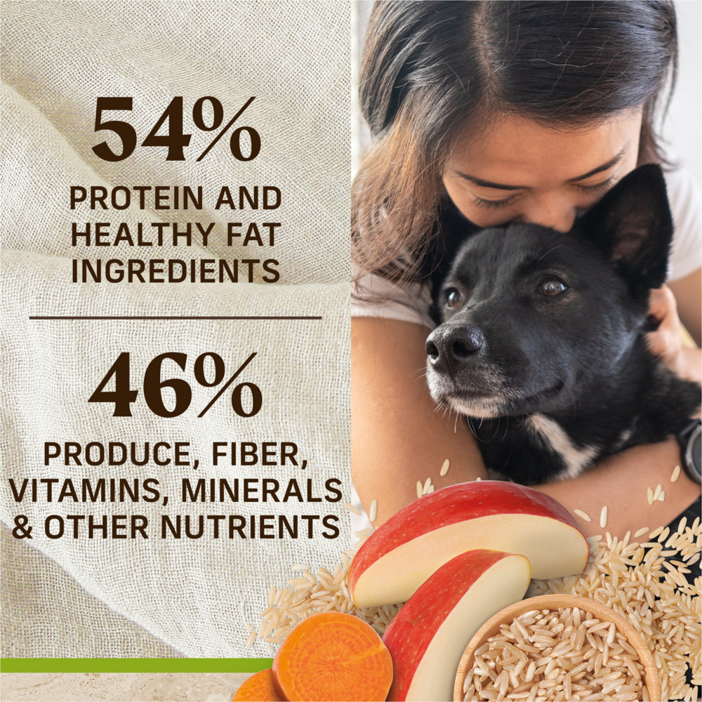 Merrick Healthy Grains Lamb and Brown Rice Adult Dry Dog
