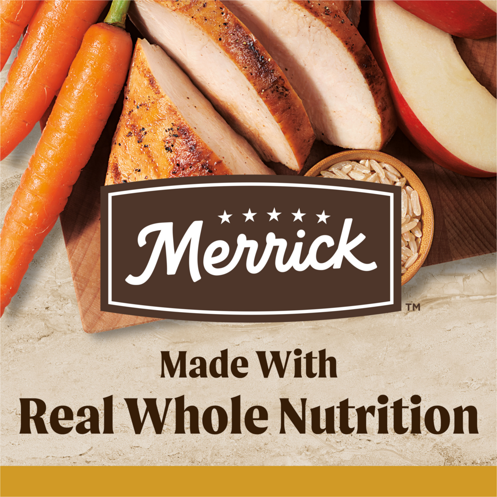 Merrick Healthy Grains Premium Adult Dry Dog Food Wholesome