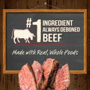 Power Bites Soft & Chewy Grain Free Real Beef Dog Treats (6 oz)