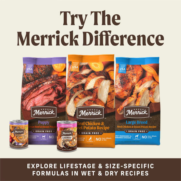 Merrick Power Bites Soft & Chewy Grain Free Real Beef Dog Treats (6 oz) - Soft & Chewy Dog Treats 8