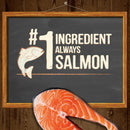 Power Bites Soft & Chewy Grain Free Real Salmon Dog Treats (6 oz)
