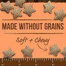 Power Bites Soft & Chewy Grain Free Real Salmon Dog Treats (6 oz)