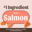 Merrick Power Bites Soft & Chewy Grain Free Real Salmon Dog Treats (6 oz) - Soft & Chewy Dog Treats 4
