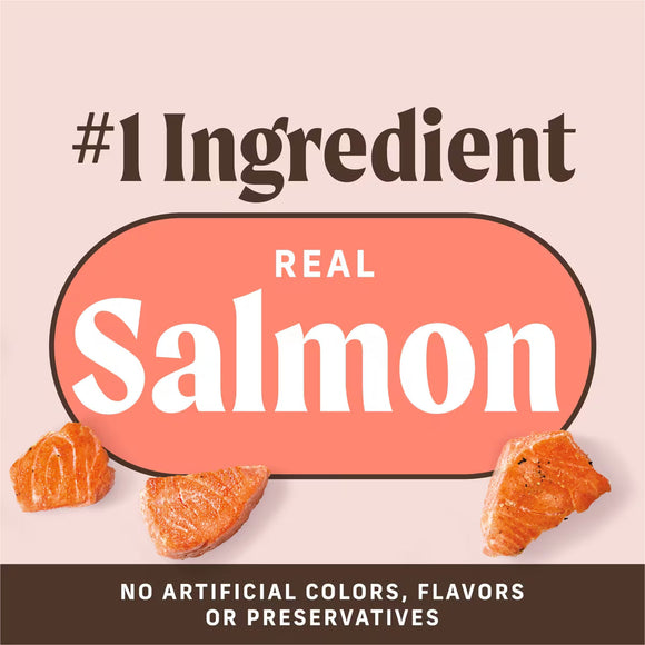 Merrick Power Bites Soft & Chewy Grain Free Real Salmon Dog Treats (6 oz) - Soft & Chewy Dog Treats 4