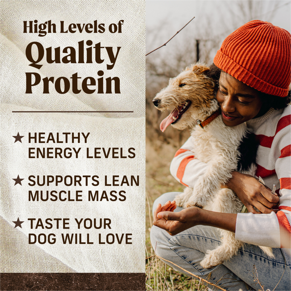 Merrick Premium Grain Free Dry Adult Wholesome And Natural Kibble With Beef