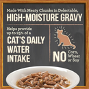Merrick Purrfect Bistro Grain Free Bon Appetits Gravies Adult Wet Cat Food Turkey Recipe Chunks in Gravy (3 oz x 24