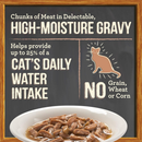 Merrick Purrfect Bistro Grain Free Bon Appetits Morsels Adult Wet Cat Food Salmon Recipe Morsels in Gravy (3 oz x 24