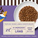 Merrick Purrfect Bistro Grain Free Pasture-Raised Lamb & Carrots Recipe Dry Cat Food - Cat Food 2