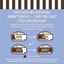 Merrick Purrfect Bistro Grain Free Premium Soft Canned Pate Adult Wet Cat Food High Protein Tuna Recipe - 3-oz, case
