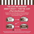 Merrick Purrfect Bistro Grain Free Salmon & Sweet Potato Recipe Dry Cat Food - Cat Food 8