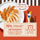 Merrick Purrfect Bistro Grain Free Savory Chicken & Sweet Potato Recipe Dry Cat Food - Cat Food 7