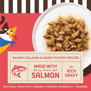 Merrick Purrfect Bistro Premium Canned Adult Wet Cat Food Savory Salmon & Sweet Potato Recipe in Rich Gravy (3 oz x 24