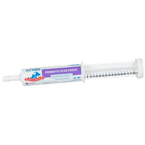 Blue Ribbon Goats Prefer Probiotic Plus, 80cc