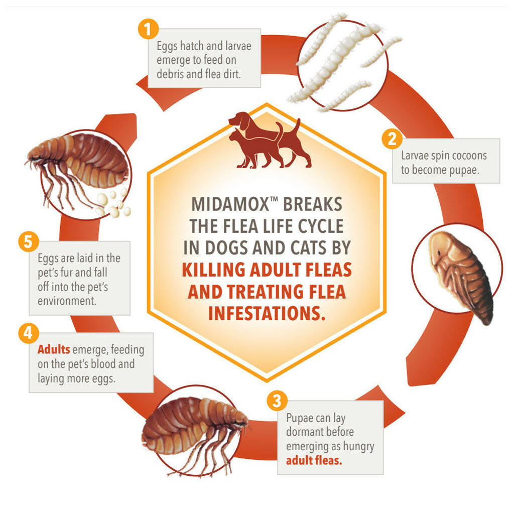 Midamox for Dogs 3-9 lbs - Fast-Acting Flea, Tick & Worm Protection