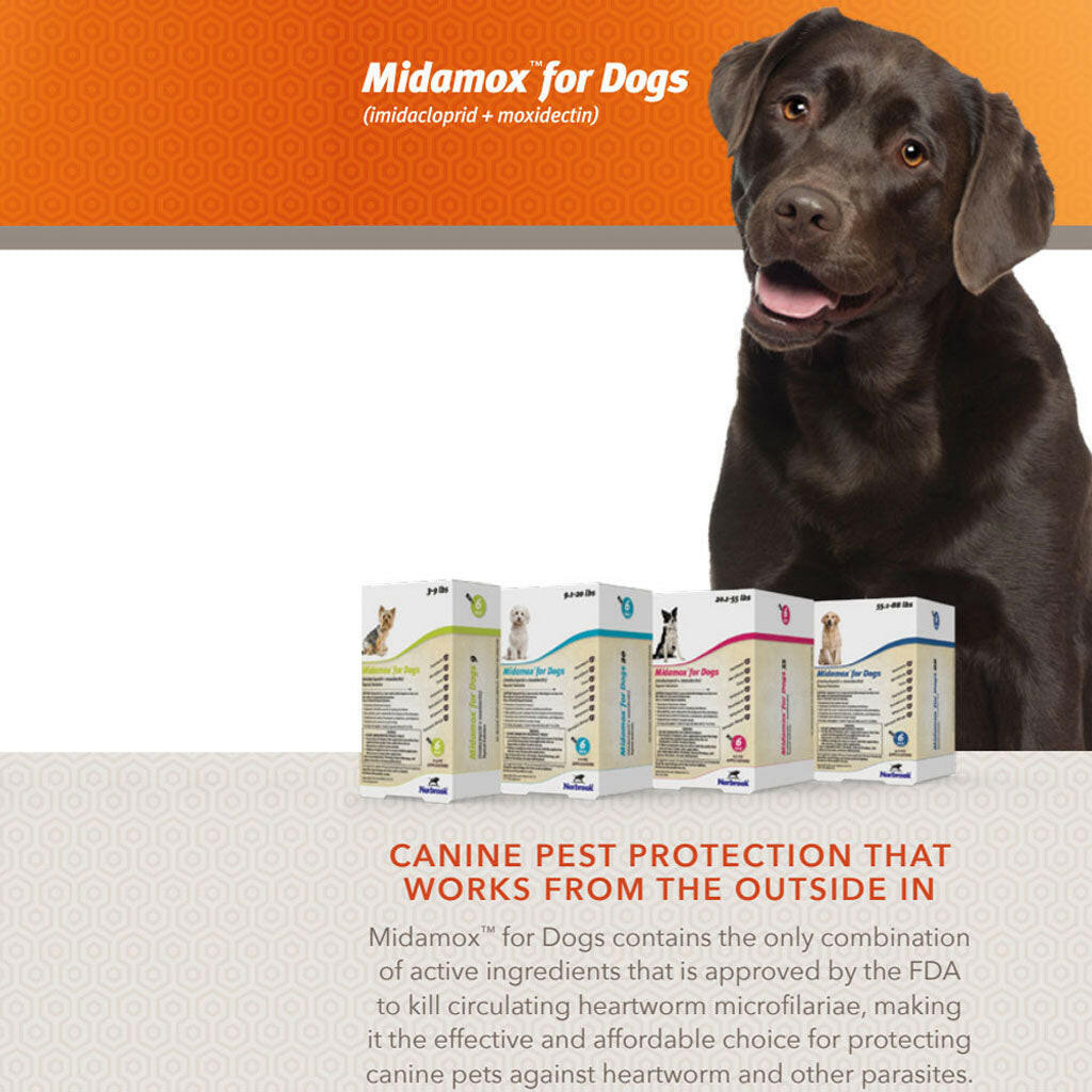 Midamox for Dogs 9.1–20 lbs - Flea, Worm & Parasite Treatment