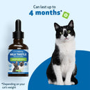 Milk Thistle - for Healthy Liver Function in Cats - Cat Supplements & Vitamins 13