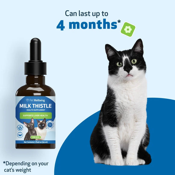 Milk Thistle - for Healthy Liver Function in Cats - Cat Supplements & Vitamins 13