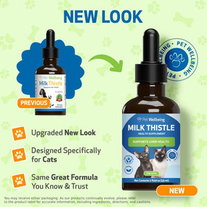 Milk Thistle - for Healthy Liver Function in Cats - Cat Supplements & Vitamins 2