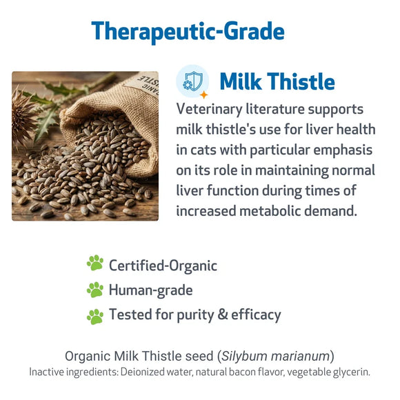 Milk Thistle - for Healthy Liver Function in Cats - Cat Supplements & Vitamins 6