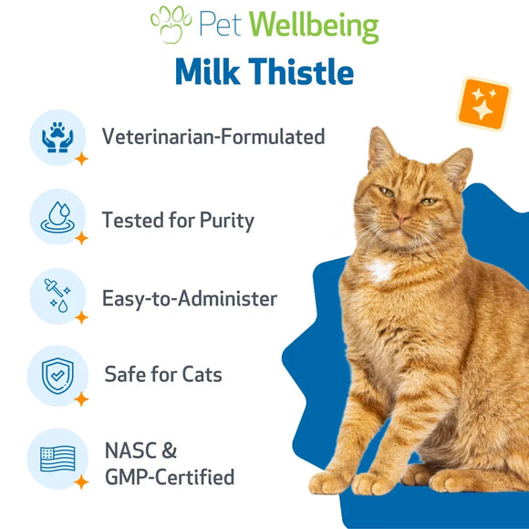 Milk Thistle - for Healthy Liver Function in Cats - Cat Supplements & Vitamins 8
