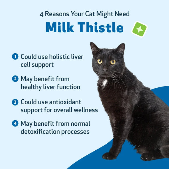 Milk Thistle - for Healthy Liver Function in Cats - Cat Supplements & Vitamins 5
