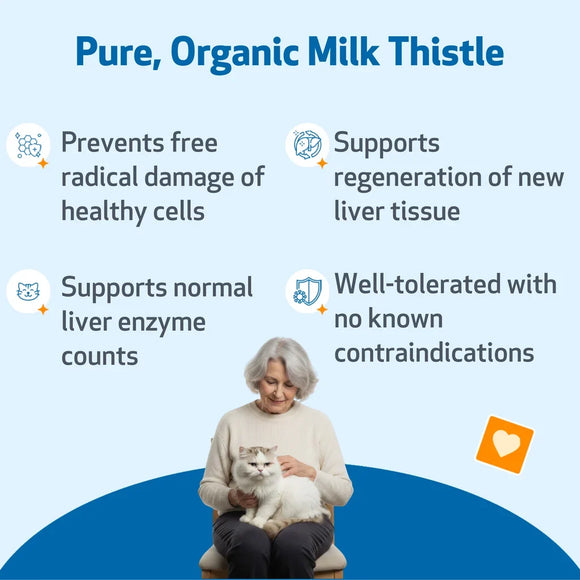 Milk Thistle - for Healthy Liver Function in Cats - Cat Supplements & Vitamins 4