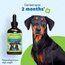 Milk Thistle Supplement for Healthy Liver Function in Dogs - Dog Supplements & Vitamins 5