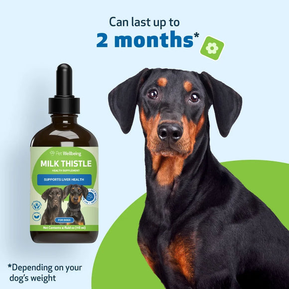 Milk Thistle Supplement for Healthy Liver Function in Dogs - Dog Supplements & Vitamins 5
