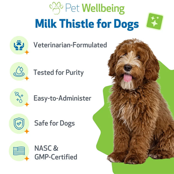 Milk Thistle Supplement for Healthy Liver Function in Dogs - Dog Supplements & Vitamins 9