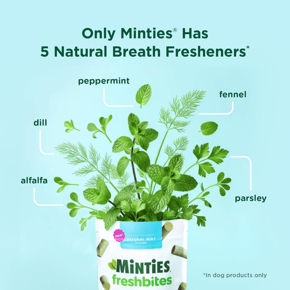 Minties FreshBites Soft & Chewy Dog Dental Treats - Dog Treats 5