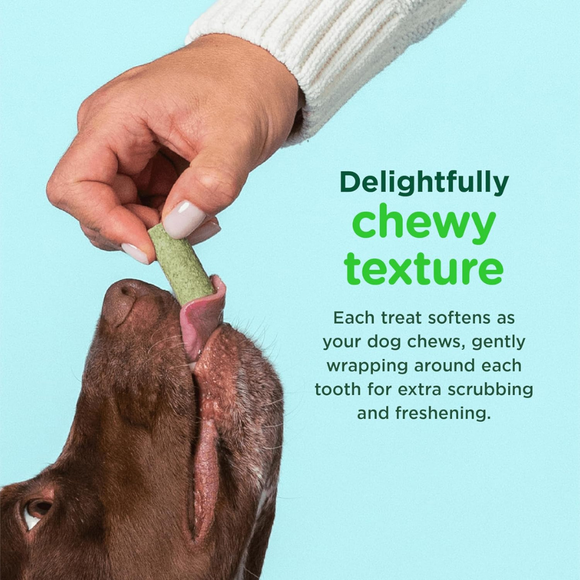 Minties FreshBites Soft & Chewy Dog Dental Treats - Dog Treats 4