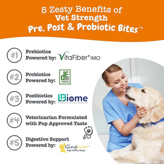 Zesty Paws Vet Digestive Gut & Probiotic Rotisserie Chicken Flavor Supplement For Dog (90 ct)