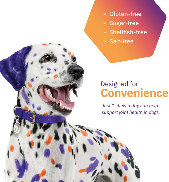 MovoFlex Joint Support for Large Dogs (60 soft chews)