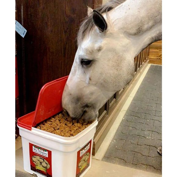 Mrs. Pastures Original Horse Cookies