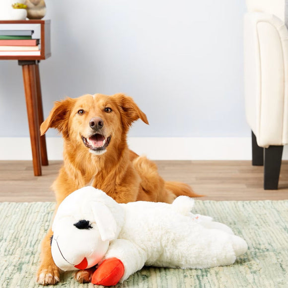 Multipet Lamb Chop Plush Squeaky Dog Toy