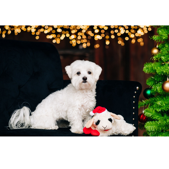 MultiPet Lamb Chop w Santa Hat Plush Dog Toy 6’’ - Dog Toy 3