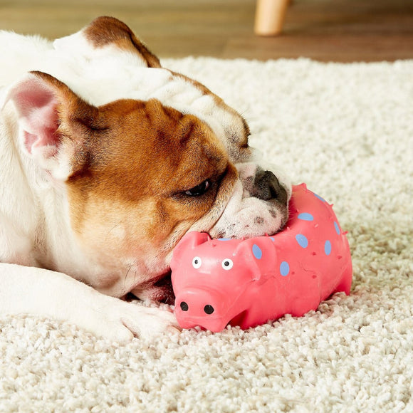 Multipet Latex Globlet Grunting Pig Toy For Dogs- Assorted Colors (9-in)